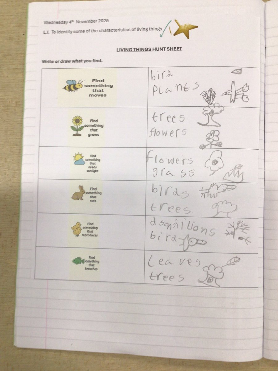 Byron Primary School tweet media