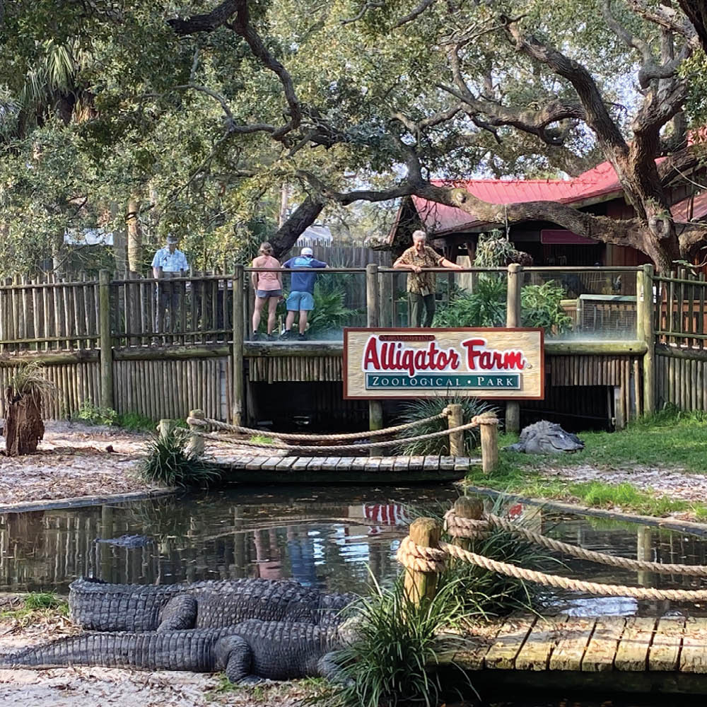 Set sail round-trip from #Jacksonville on a journey through the heart of the Sunshine State. Cruise the St. Johns River to historic St. Augustine, the mineral springs of Green Cove Springs, and the serene beauty of the Ocala National Forest.