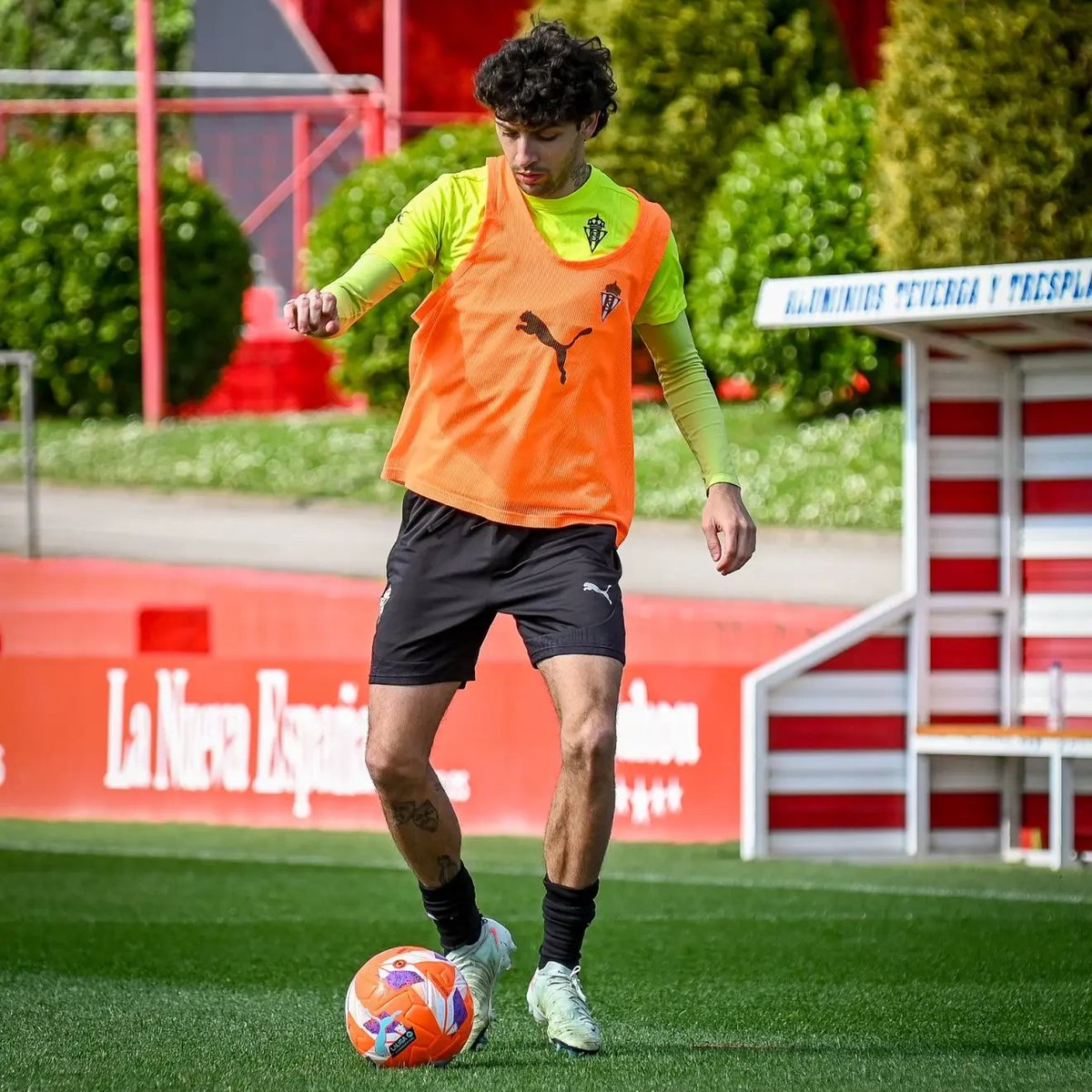 The Touchline | 𝐓 tweet media