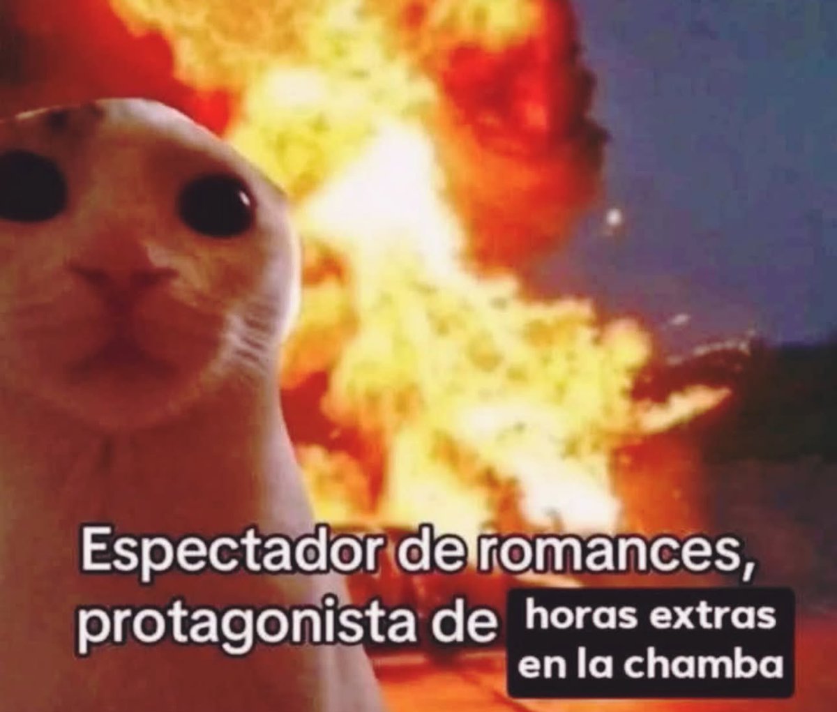 piña sin pizza (@skereunpesado) on Twitter photo 