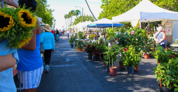 PalmBeachesFL's tweet image. 🍓 Fresh finds alert! Discover the top farmers markets throughout The Palm Beaches—sunshine days, colorful stalls, live music, and local community vibes.

👉 Dive in here bit.ly/4a57omA

#ThePalmBeaches #LOVEThePalmBeaches #FarmersMarket #GreenMarket