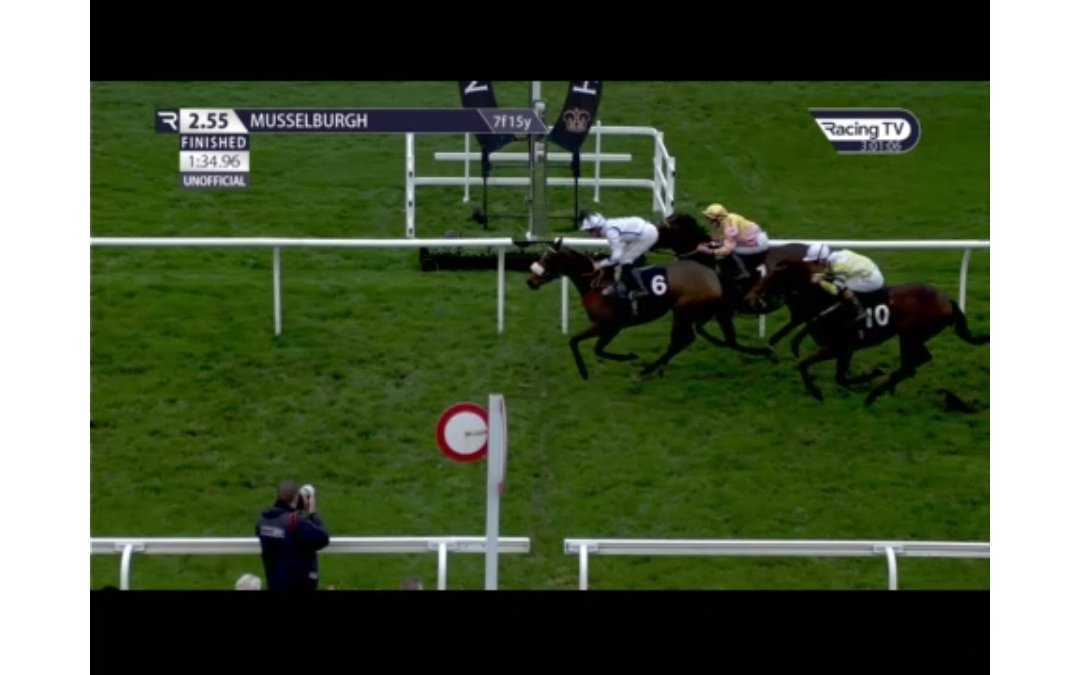 DG_DMAC's tweet image. Boooom blufferonthebuss tipped at 16/1 goes in for members 🐎🚀