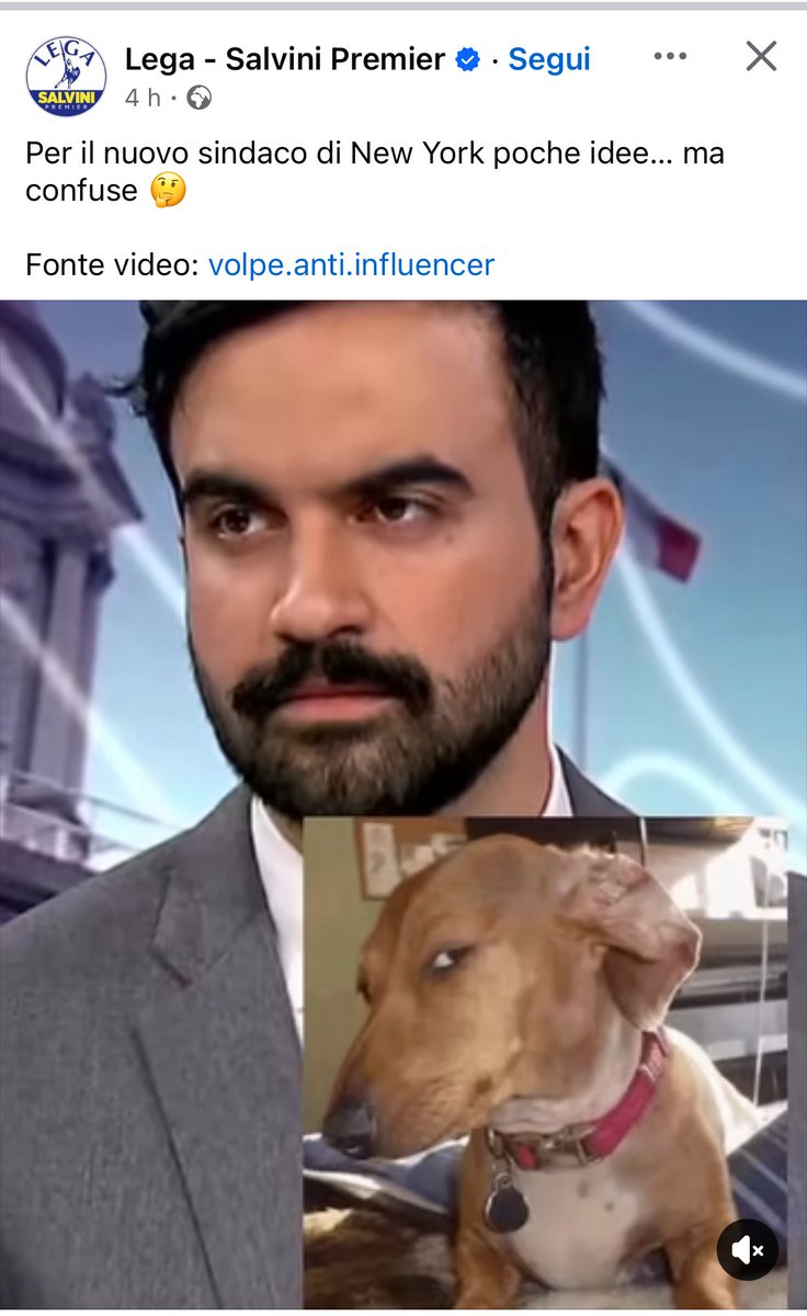 Tu pensa in che stato di confusione mentale misto a terrore deve stare la ex Bestia salviniana ridotta a fare i post in stile “buongiornissimo caffè” contro la vittoria di Mamdani a New York