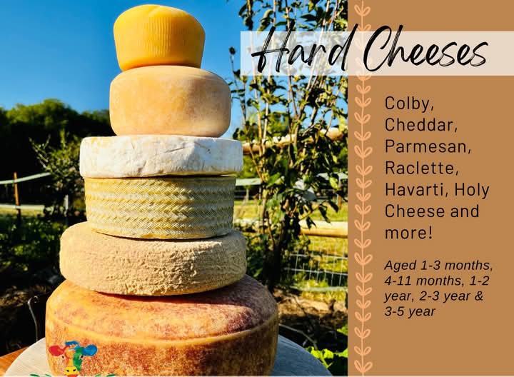 PSKDistribution's tweet image. If you own hotel, Canteen,Coffee shop etc Iet us supply your business with cheese. Hospitality industry lets talk. kdlifestyle_sales@hotmail.com Kdlifestyle.orders@yahoo.com or 0653416110