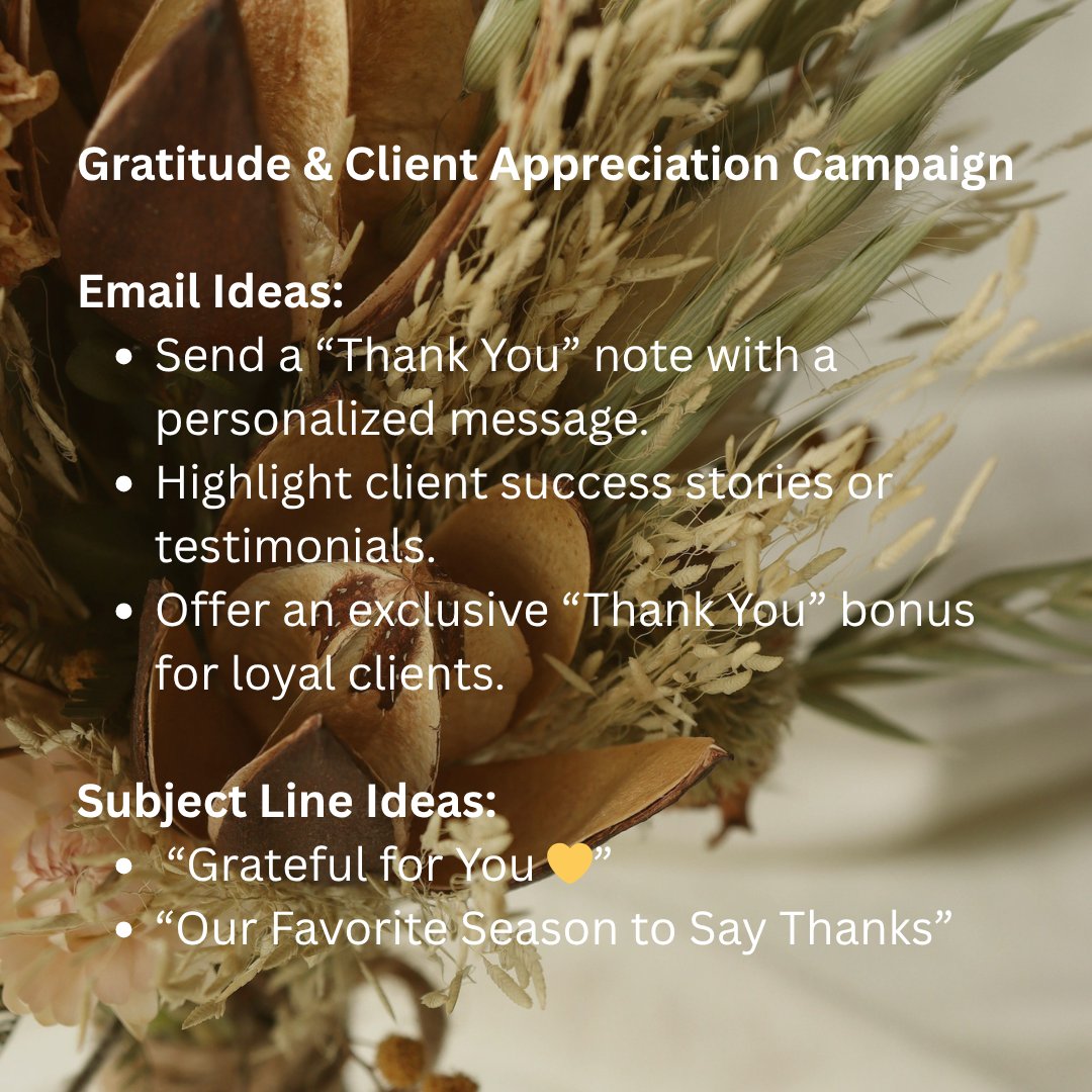 albrightadmin's tweet image. ˚₊‧꒰ა🍂🍁🧡  ໒꒱ ‧₊
November Focus: 
Gratitude &amp;amp; Client Appreciation Email Campaigns 

💗ྀི Express thanks and nurture long-term client relationships.

#ClientAppreciation #EmailMarketing