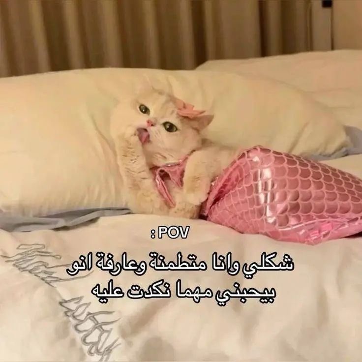 سارة (@s0so_57) on Twitter photo 