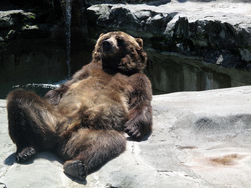 Çarpıntı şikayeti ve üfürüm bulgusu ile gittiğim kardiyo randevusundan sonra powerrade içerek spora giderken bizim yüzsüzlük