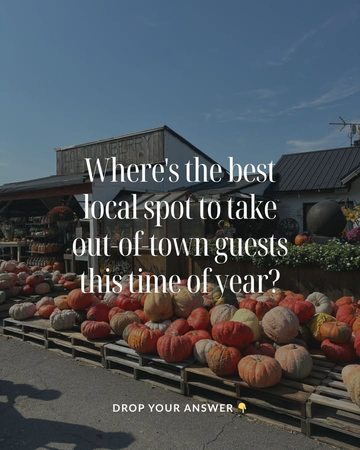 rogerpowens's tweet image. Holiday visitors incoming! Where are you taking them to show off your area at its best right now? Bonus points if it’s somewhere Instagram-worthy. 📸 Drop it below! #ShopLocal… dlvr.it/TP5Kt8 #HolidayVibes #ExploreLocal #InstaTravel #Tourism #VisitYourCity