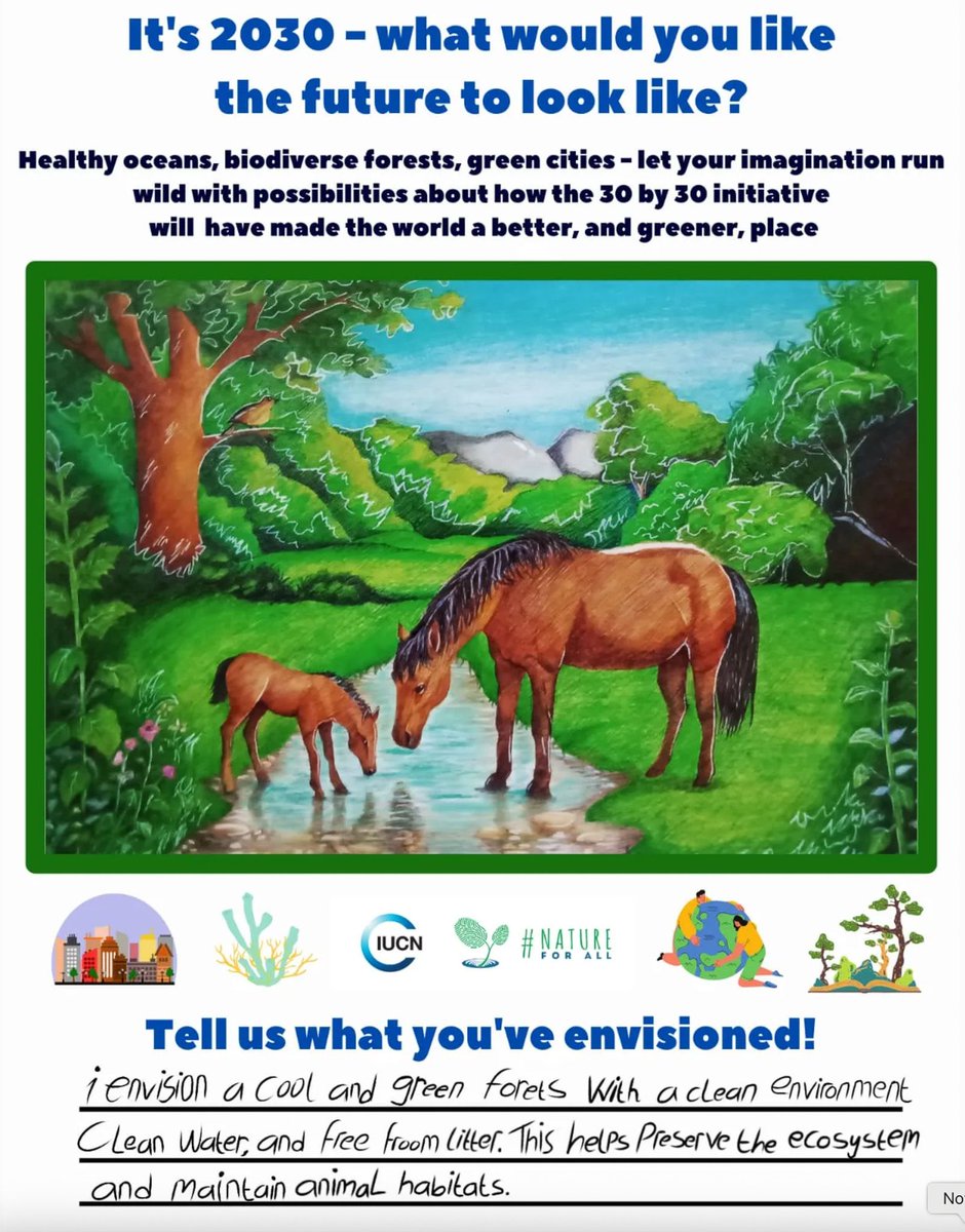LivingOceansFdn's tweet image. We’re proud to showcase the winners of the #NatureForAll #30×30 Youth Art Contest, co-sponsored with IUCN @Nature.For.All, @fromthebowseat, and @ebtsoyp. Young artists shared their vision of a future where 30% of our world is protected. 

View all winners: livingoceansfoundation.org/connecting-peo…