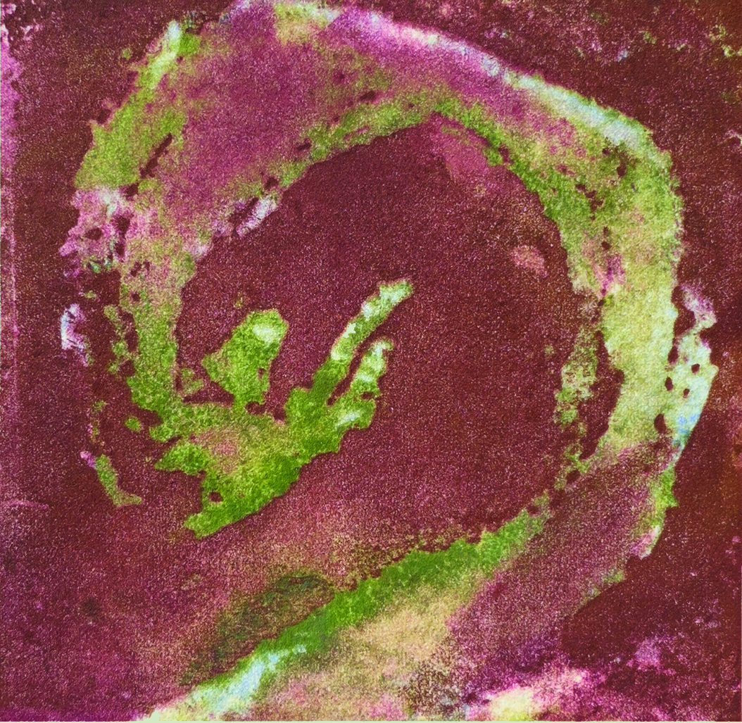 Lese Corrigan tweet media