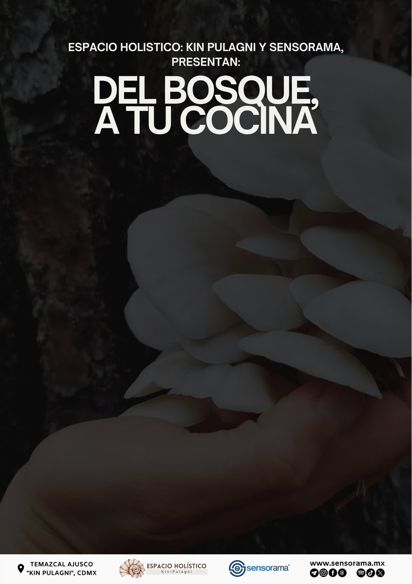 Sensorama_mx's tweet image. 🍄 Taller: Del Bosque a tu Casa
Cultiva tus propias setas comestibles 🌿
📆 29 nov | 11:00-15:00h
📍 Kin Pulagni, CDMX
💰 $600 | Cupo limitado
🎟️ wa.link/ovsm85
#Sensorama #TallerSensorial #naturaleza