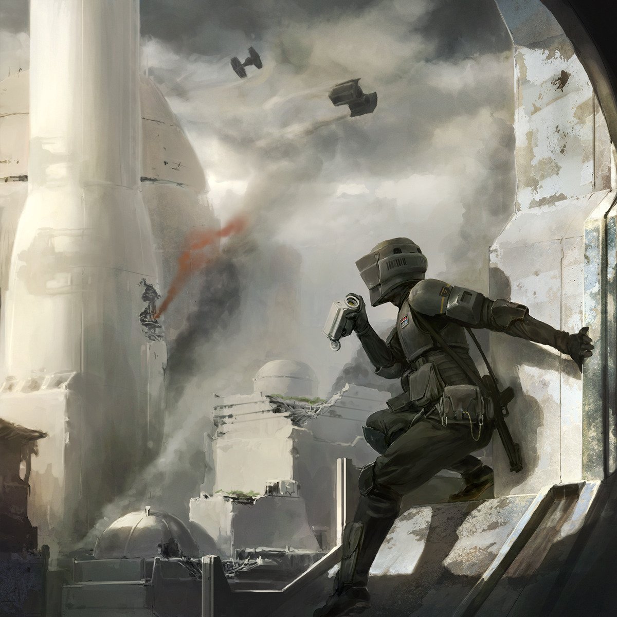 Storm Commando Captain

By Kai Lim