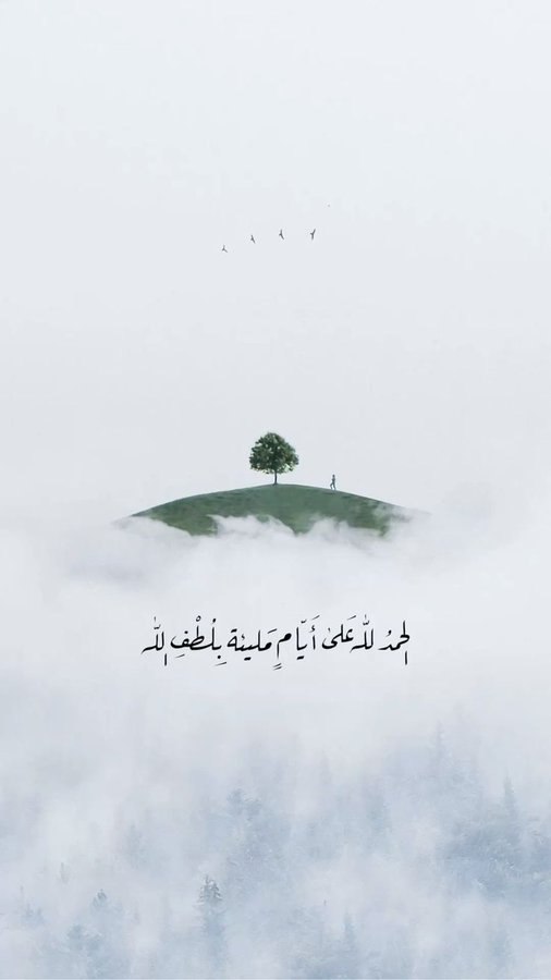 HH92_al's tweet image. الحمدُ لله🤍..