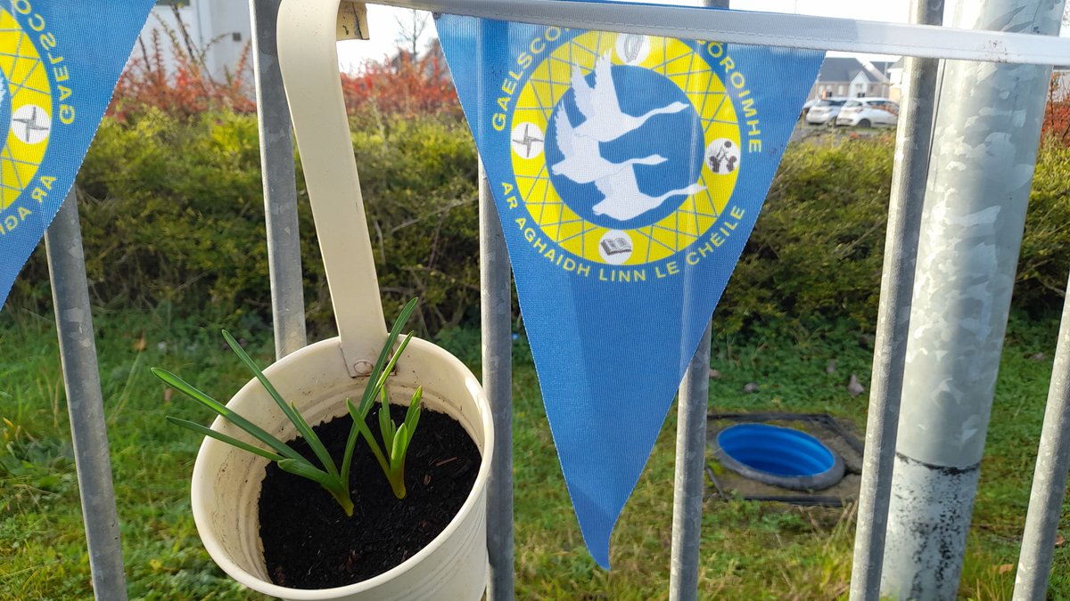 Féach céard atá ag fás cheana féin! <a href="/FingalBiodiv/">Fingal Biodiversity</a> <a href="/BioInSchools/">Biodiversity in Schools</a> <a href="/green/">green</a>