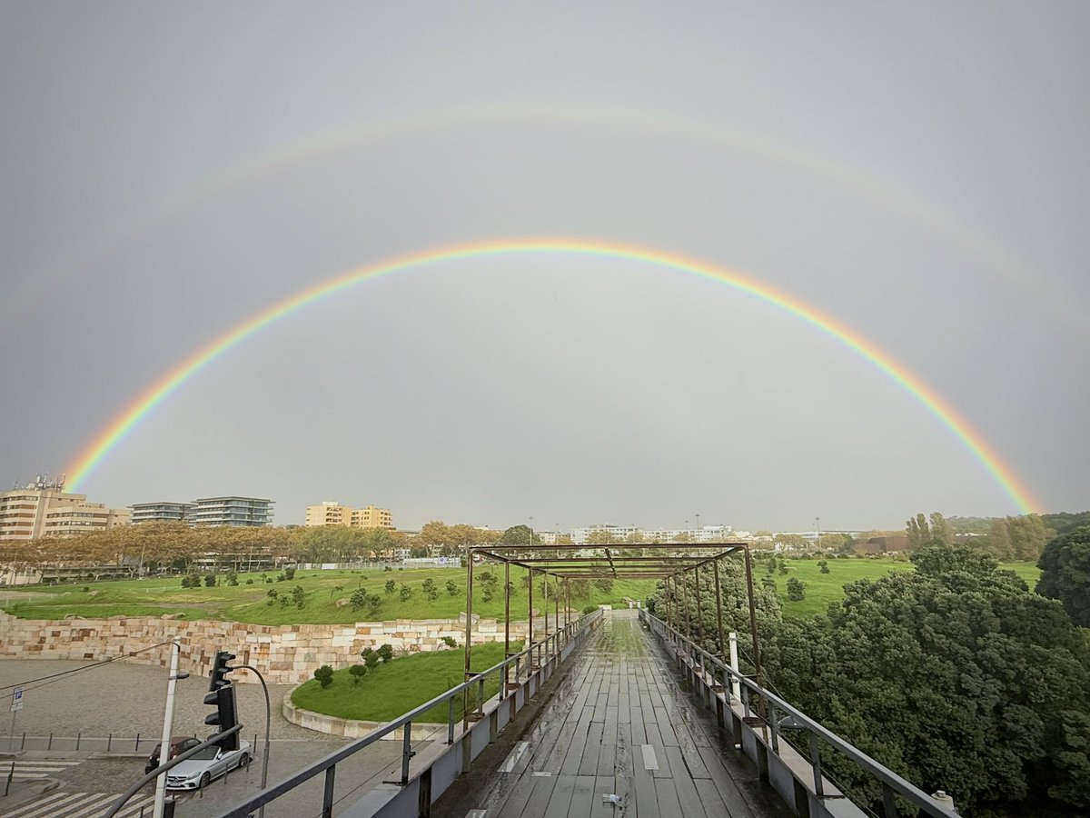 The perfect 🌈 at <a href="/LayerXlab/">LayerX</a> office 🤩