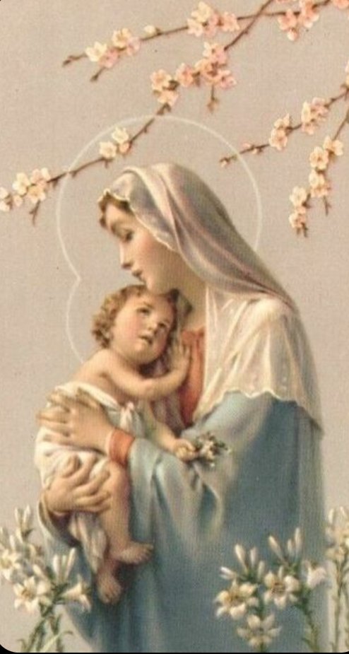 "Let us seek Grace, but let us seek it through Mary."

--𝑺𝒕. 𝑩𝒆𝒓𝒏𝒂𝒓𝒅.