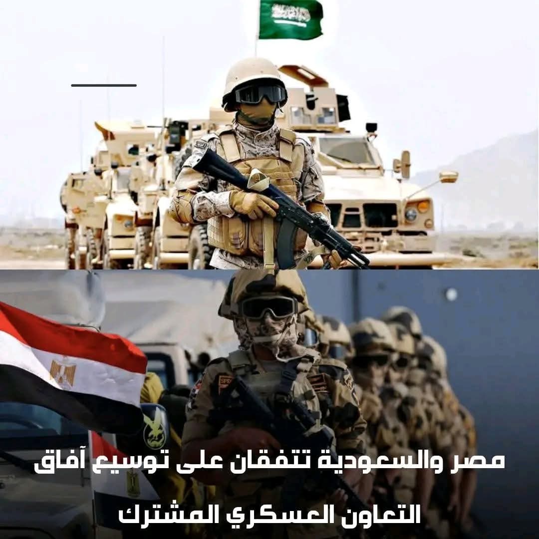 حكومه المصريه والسعوديه بيلاعبوا اللجان السوريه والاخوانيه 
 مش هتعرفوا تعملوا فتنه. وبيلعبوا بيكم يا مغفلين. 😂😂😂