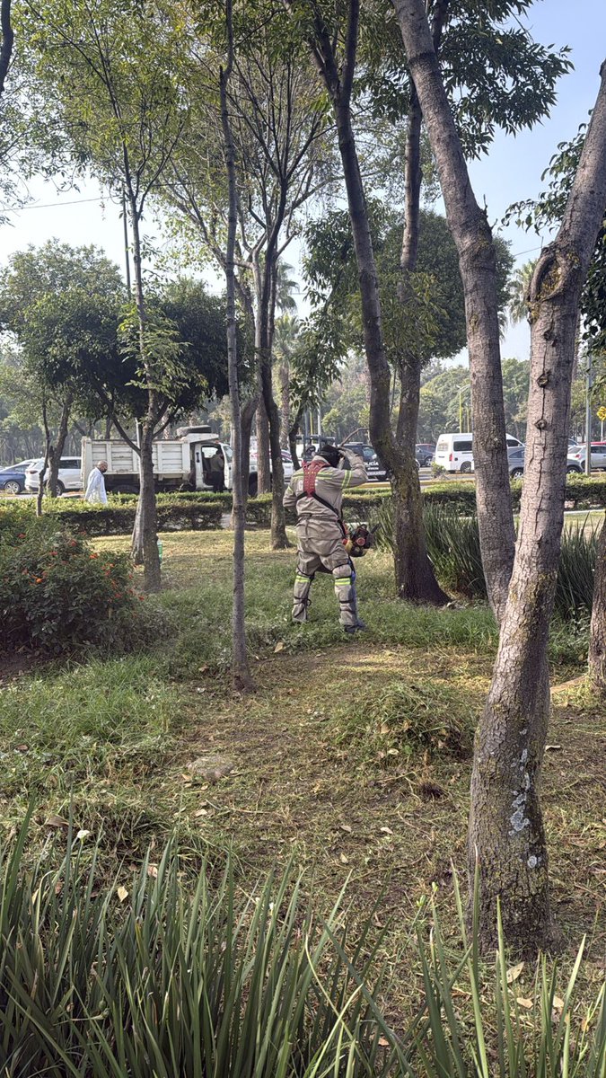#BuenosDías🌥️

En esta mitad de semana, iniciamos con labores de mantenimiento de áreas verdes en Parque Benemérito de las Américas, para conservar el orden y la limpieza de este espacio.🌱🌿

#ServiciosUrbanos 
#ParquesYJardines 
#VCCercaDeSuGente