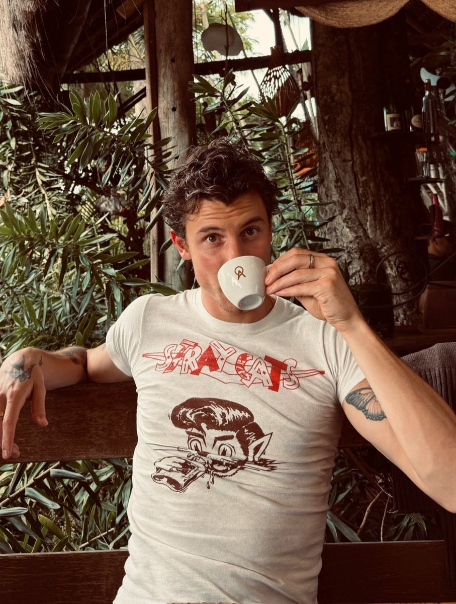 best of shawn tweet media