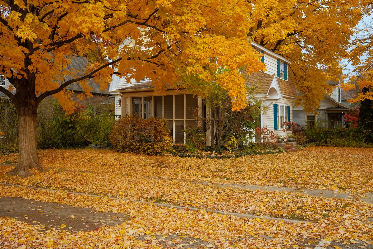 jacob__titus's tweet image. It’s walkable if you walk it.