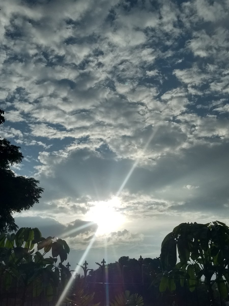 #sunsetvibes another day gone hope it was or is  good for u #NaturePhotography #photography #Nature