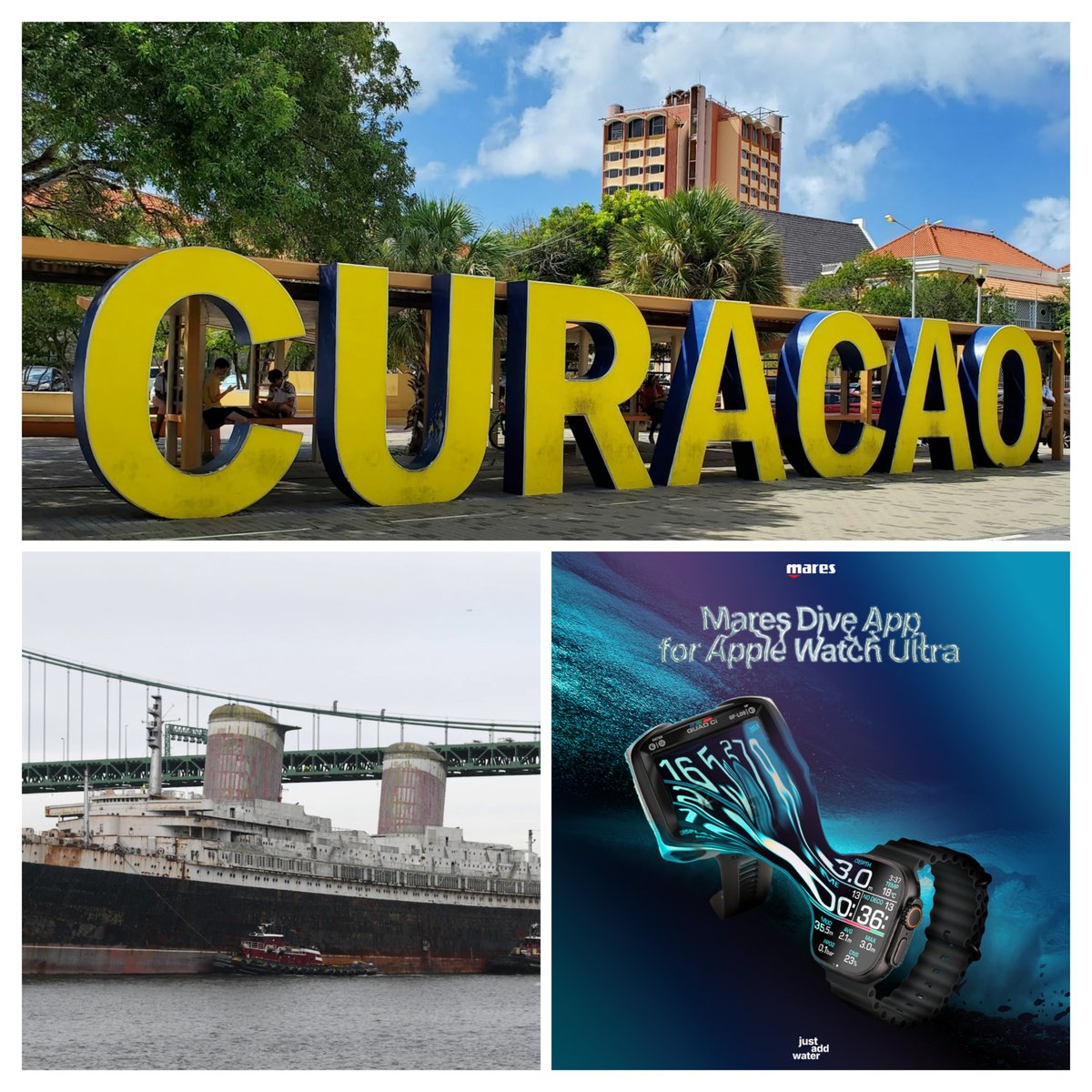 Scuba_Directory's tweet image. 🌊 November Newsletter is here! 🌊

✅ Spotlight: Curaçao
✅ Mares Turns Apple Watch into Dive Computer
✅ Solomon Islands Ocean Protection
✅ World’s Largest Artificial Reef

🔗 Sign up:
thescubadirectory.com/about/newslett…

 #DiveNews #divecuracao #Mares #paditv #ScubaDivingMag #PADI
