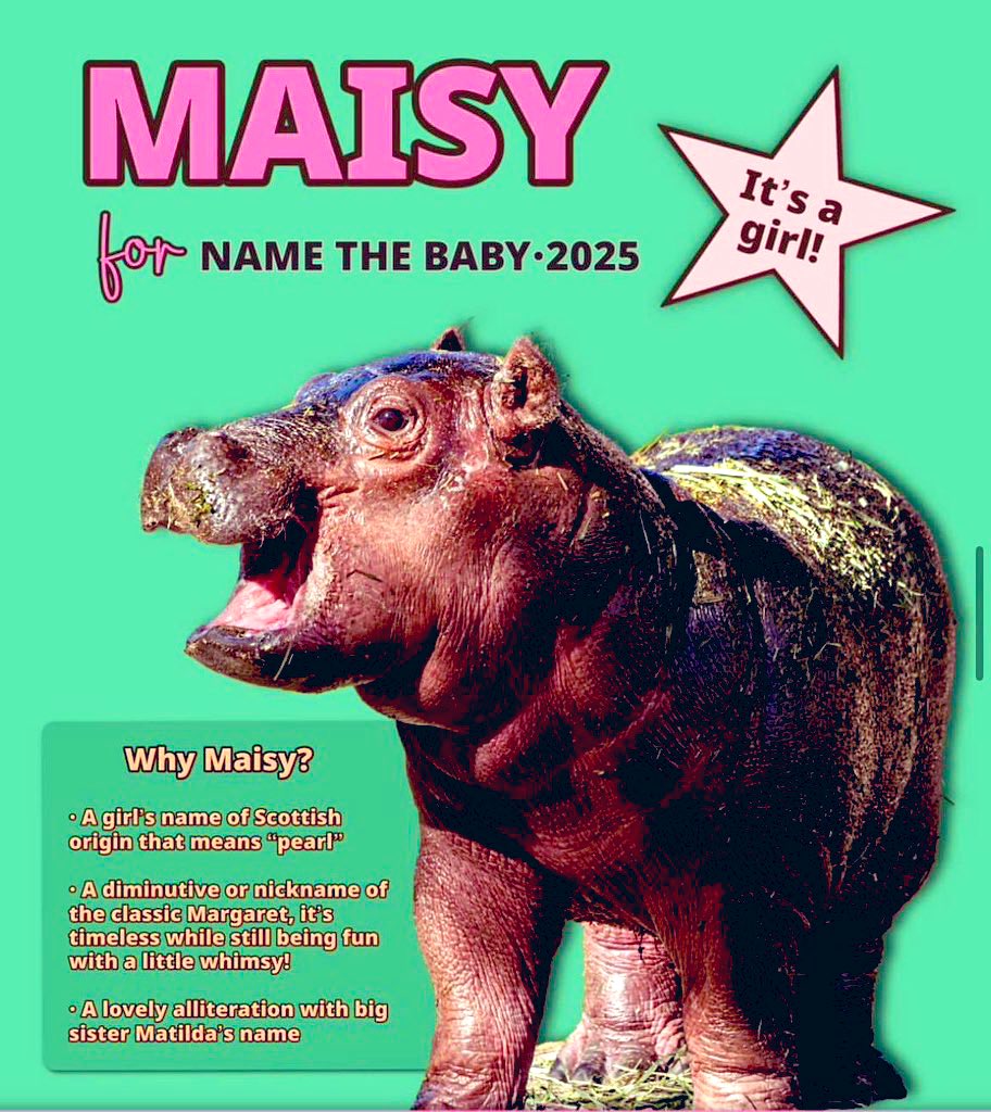 <a href="/cb_doge/">DogeDesigner</a> Hippo hack

i’m buying a hippo

$Maisy

a real one again