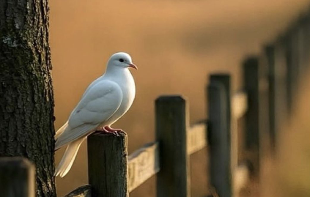 FARSÇA KOLAY BEYİTLER-384

جان هر زنده دلی، زنده به جانی دگر است
سخن   اهل   حقیقت،  ز   زبانی  دگر است
(خواجوی کرمانی، صنایع الکمال،غزل ۳۴)