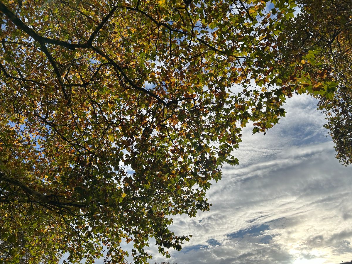 Katie Rose tweet media