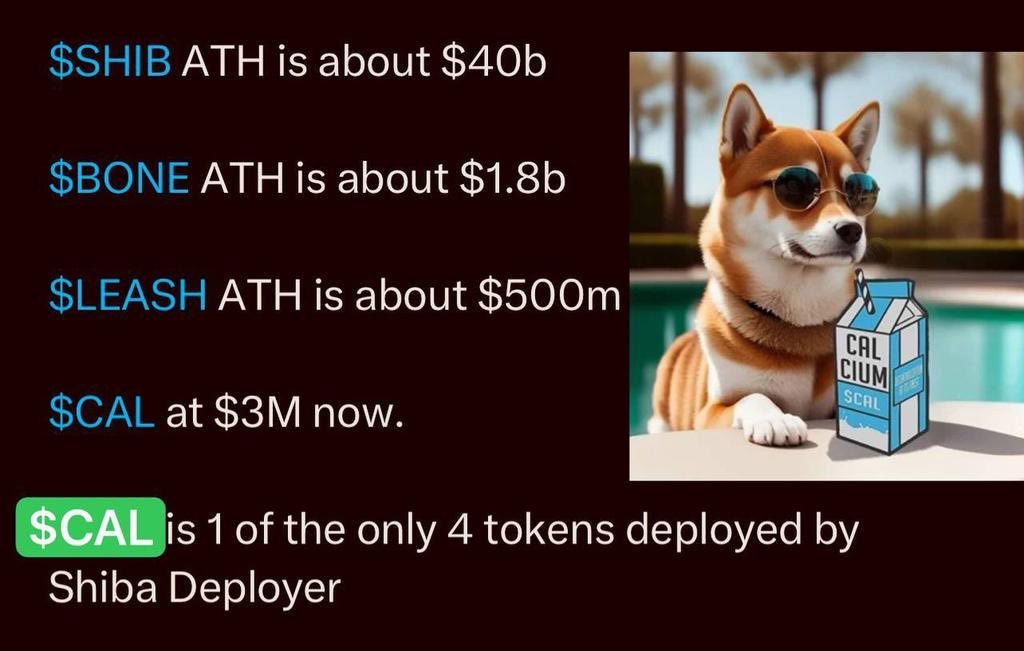 santoshinu's tweet photo. While the Crypto market is down, smart people are loading up on projects that have narrative and strong community. 

$CAL is a project created by the $SHIBA Inu developers and in my humble opinion, this will go past the ATH of around $.07 cents! Right now it’s seating at $0.00046

Let’s say it only goes to a MC of $1M… that’s more than 10X

My bags are loaded!!!

#Calcium #CAL #SHIB #ShibArmy @CalciumShibERC