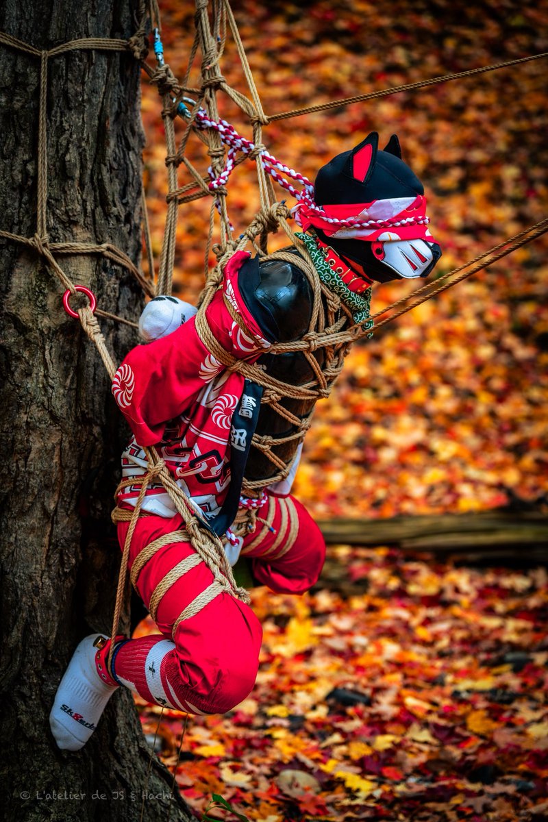 an act in four parts 🍂

📸 &amp; 🪢 <a href="/PupHachi_2021/">小八Pup Hachi</a> [20251024]