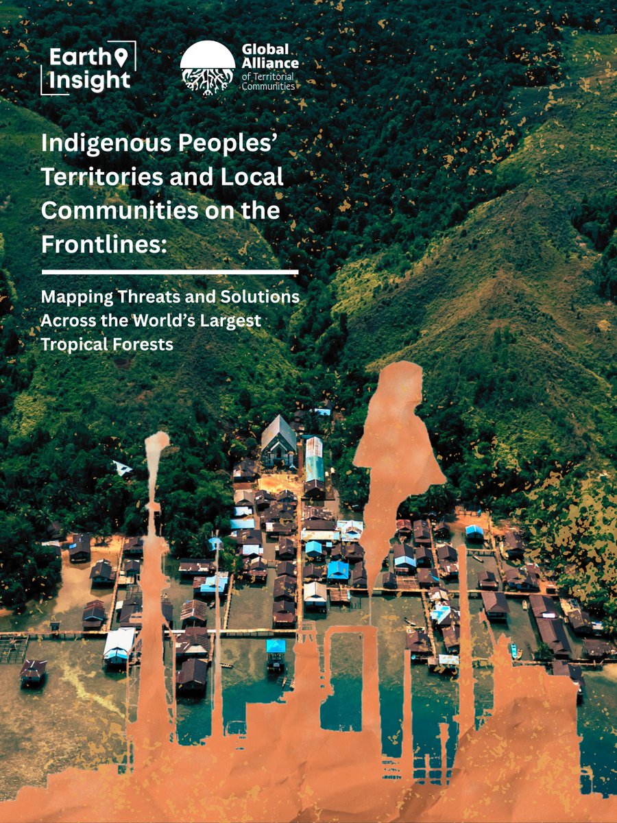 Earth Insight tweet media