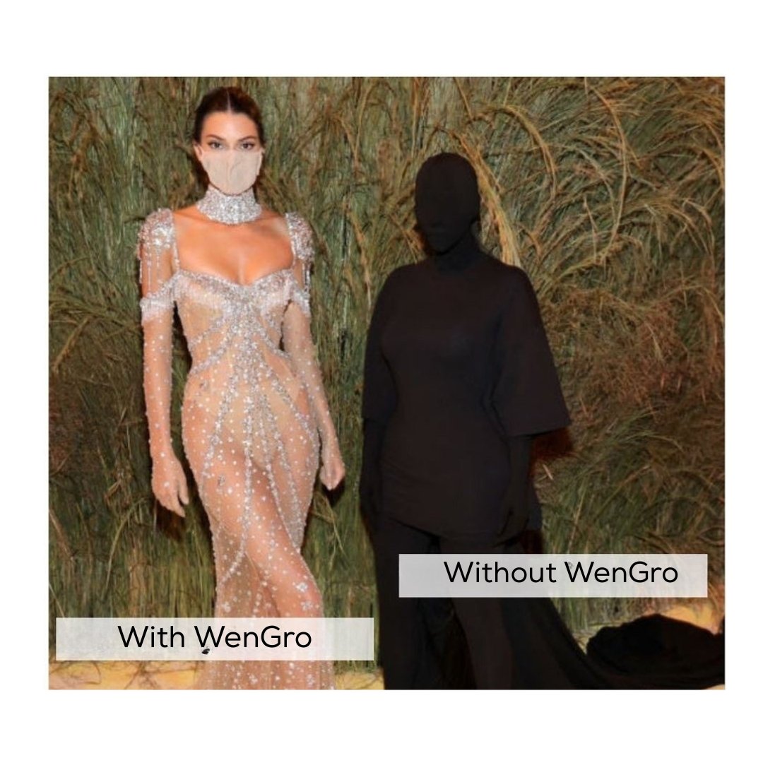 WenGro tweet media