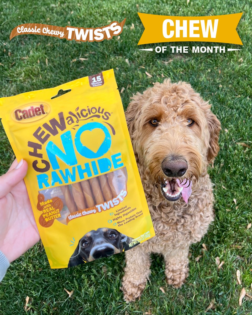 CadetPet's tweet image. ⭐ Chewalicious Classic Chewy Twists ⭐

🥜 Made with real peanut butter
💪 More protein than the leading brand
🗸 Highly digestible

Find them on @Amazon! amzn.to/48EKbsJ

#CadetPet #nationalpeanutbutterloversmonth #naturaldogchews