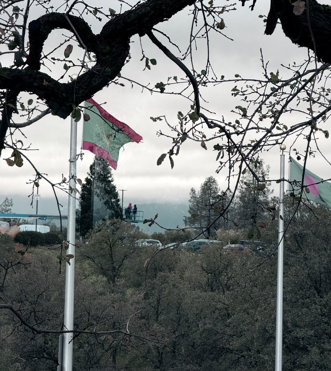 Writing4RRR's tweet image. Flags stiff in the wind
Point attention still higher
Unify nations