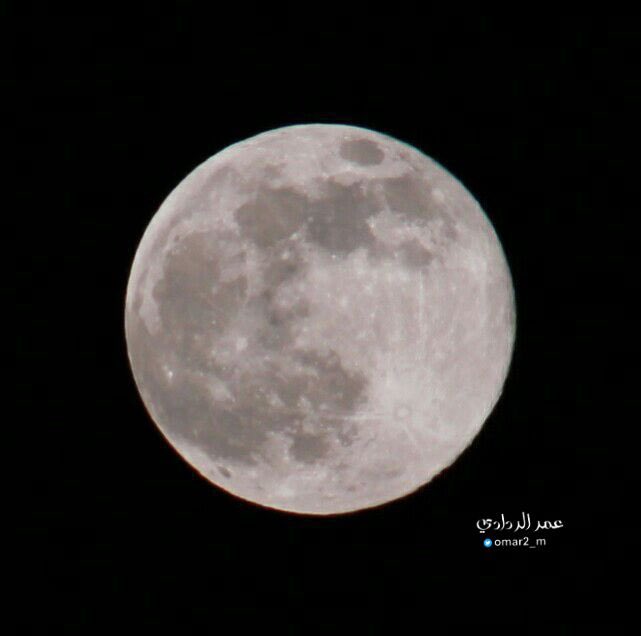 #القمر_العملاق
#البدر_العملاق
بسماء #المدينة_المنورة 
الأربعاء ١٤ جمادى الأولى ١٤٤٧هـ
الموافق ٠٥ نوفمبر ٢٠٢٥م 
#تصويري عمر الردادي #تغطيات 
#اللهم_صل_وسلم_على_نبينا_םבםבﷺ