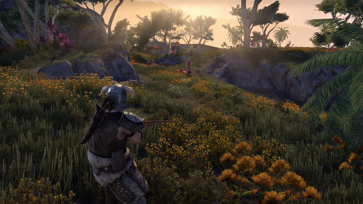 javysouls's tweet image. Qué precioso es #Tamriel. 😻💚