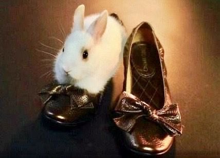 prtygal777's tweet image. “‘Put yourself in my shoes” Umm okay…