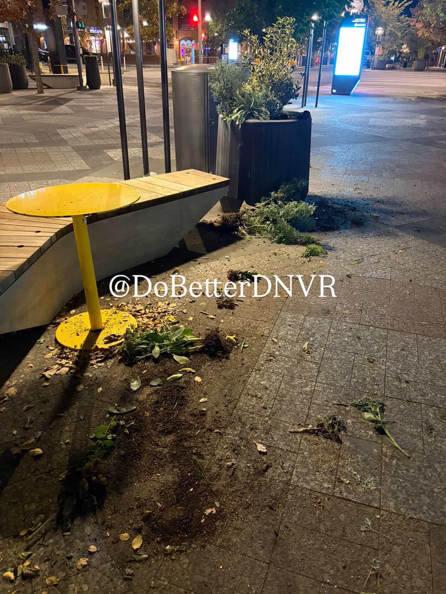 Do Better Denver tweet media