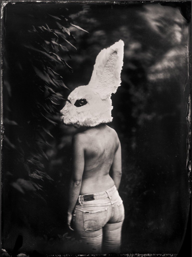 The White Rabbit - make your choice - video youtu.be/5oKDM7goyUA #choices #whiterabbit #analog #analogphotography #tintype #RiseUp