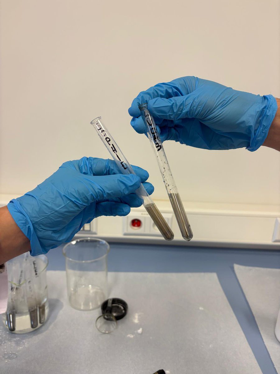 fifoumarate's tweet photo. Jour 3 du projet #Erasmus 🇪🇺 : les élèves de 1re euro maths du lycée Beaussier 🇫🇷 et du lycée Kopernic de Katowice🇵🇱 explorent la faculté des sciences 🔬 — TP de chimie et cours de physique au menu !
@LyceeBeaussier @ErasmusplusFR https://t.co/E550T2wQK1