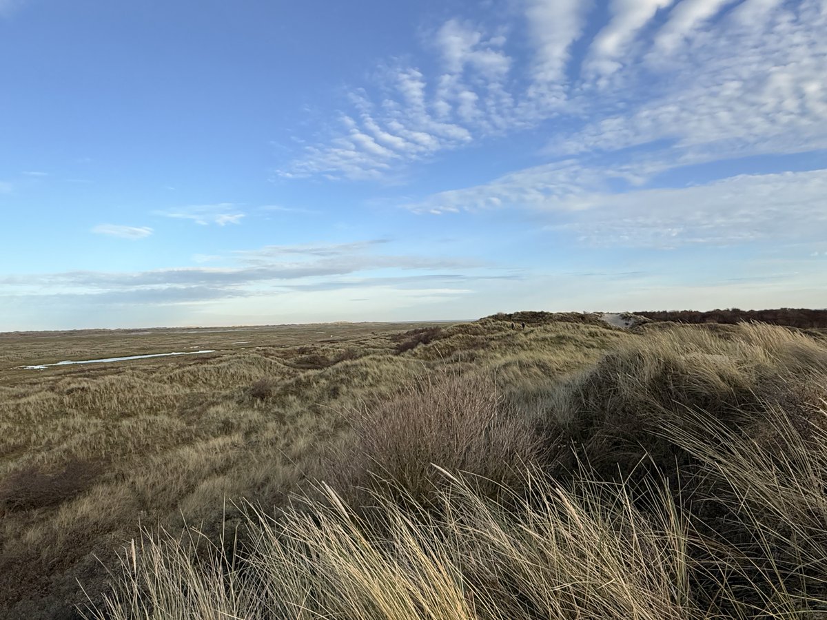 meintebonthuis's tweet image. In de Kooikdûnen...