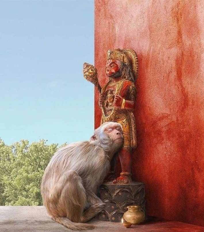 ayushimishra_07's tweet image. मेरा नाथ तू है , नहीं मैं अकेला🎵🎵🎵
🙌🙌