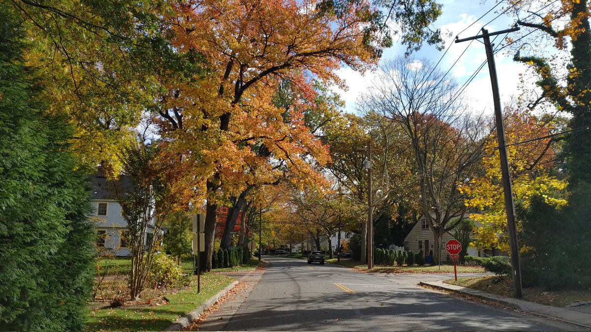 duffilled's tweet image. Heading east through #GreatNeck. #LongIsland #abcwalks