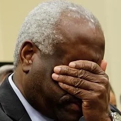 anyonewantchips's tweet photo. Your reminder that bribe infested Clarence Thomas and Samuel Alito’s wives openly supported the insurrection. https://t.co/arfDbaPHCD