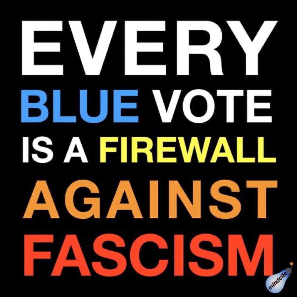 A great day for America… Let’s make 2026 Too Big To Rig! ❤️🤍💙