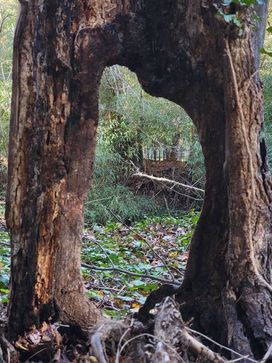 coldslaw (@coldslaw444) on Twitter photo 