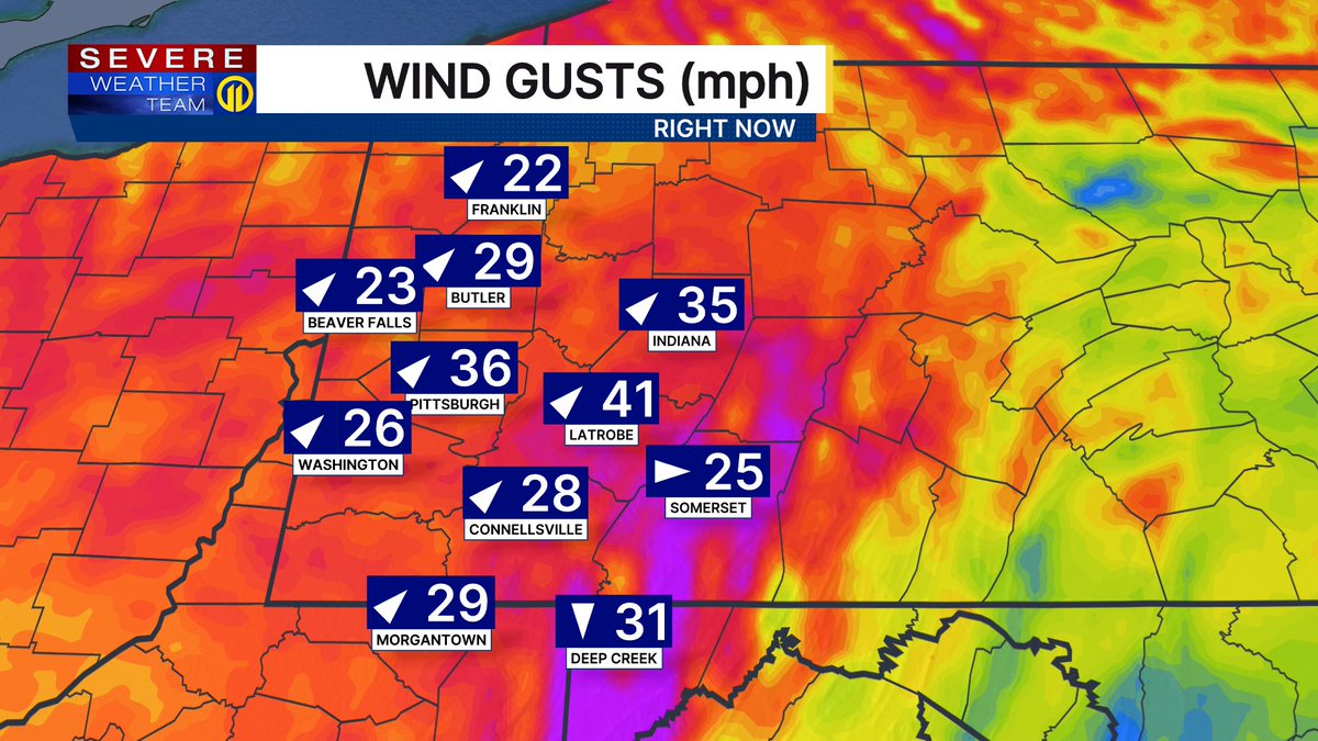 Stephanie Allison tweet media