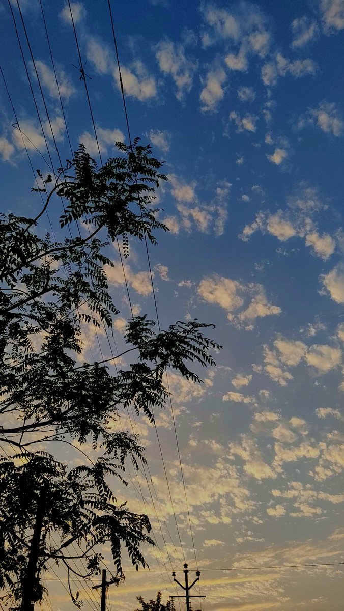 ayush08tyagi's tweet image. Evening skies painting poetry with clouds — calm, quiet, and a little bit magical. ✨🌙
#SkyVibes #EveningGlow #CloudArt   #GoldenHourMagic.