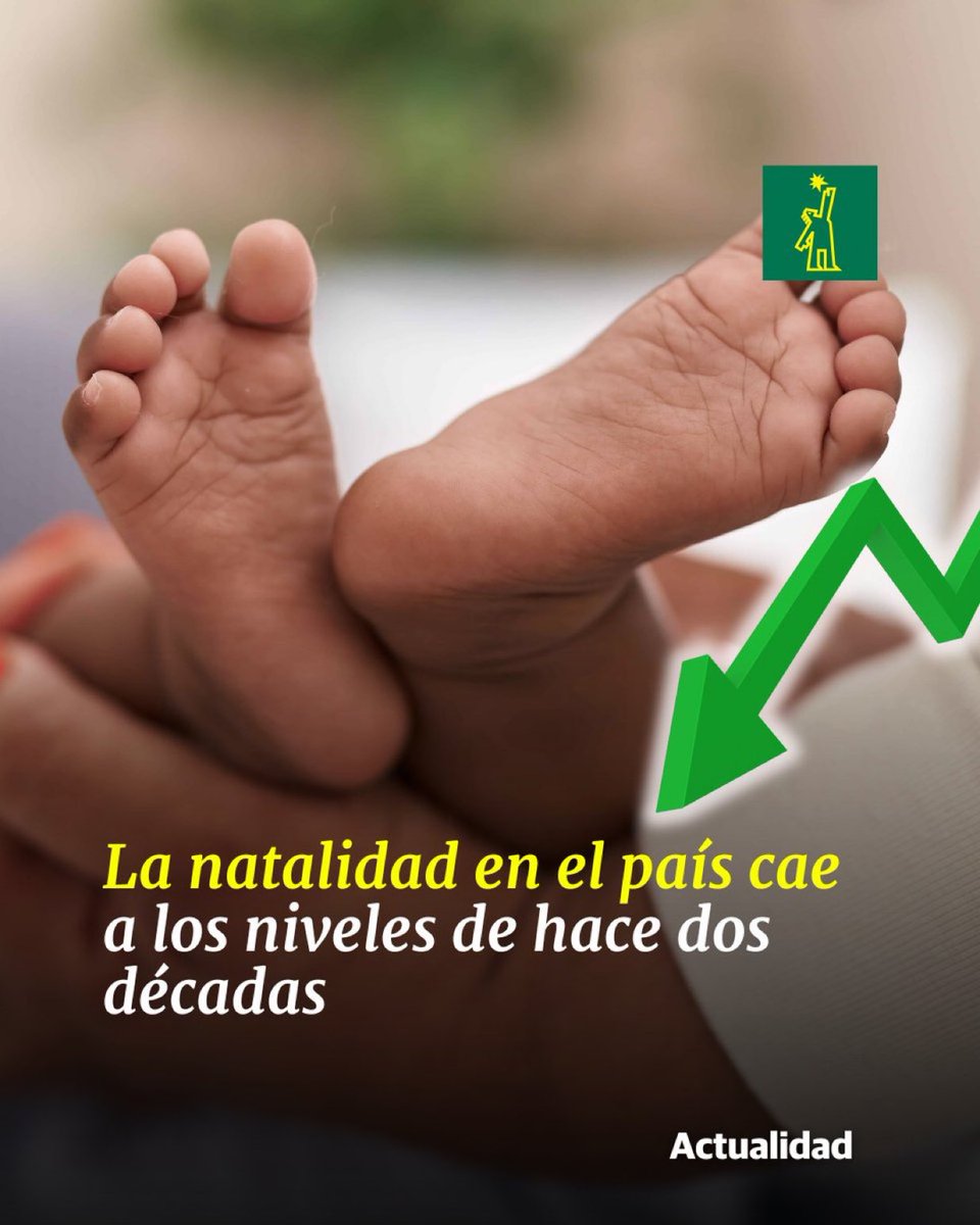 Noelia Hazim tweet media